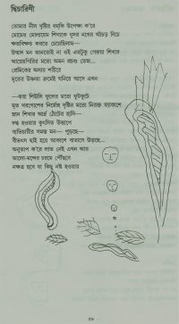 Superstar Biduut Daas Bengali Poems 16